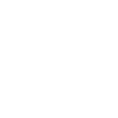 Zara Logoa